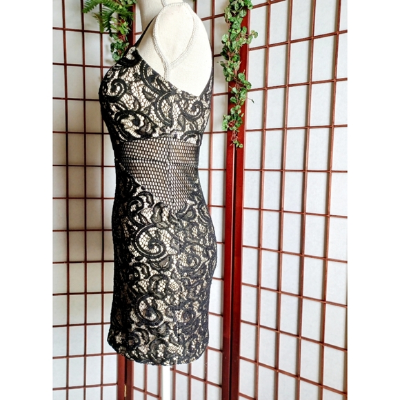 Dream ' Moon Halter Cutout Zip Back Lace Mini Dress - Picture 4 of 16